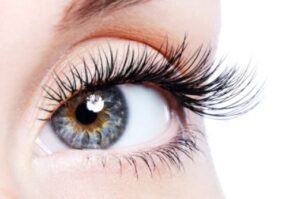 eye